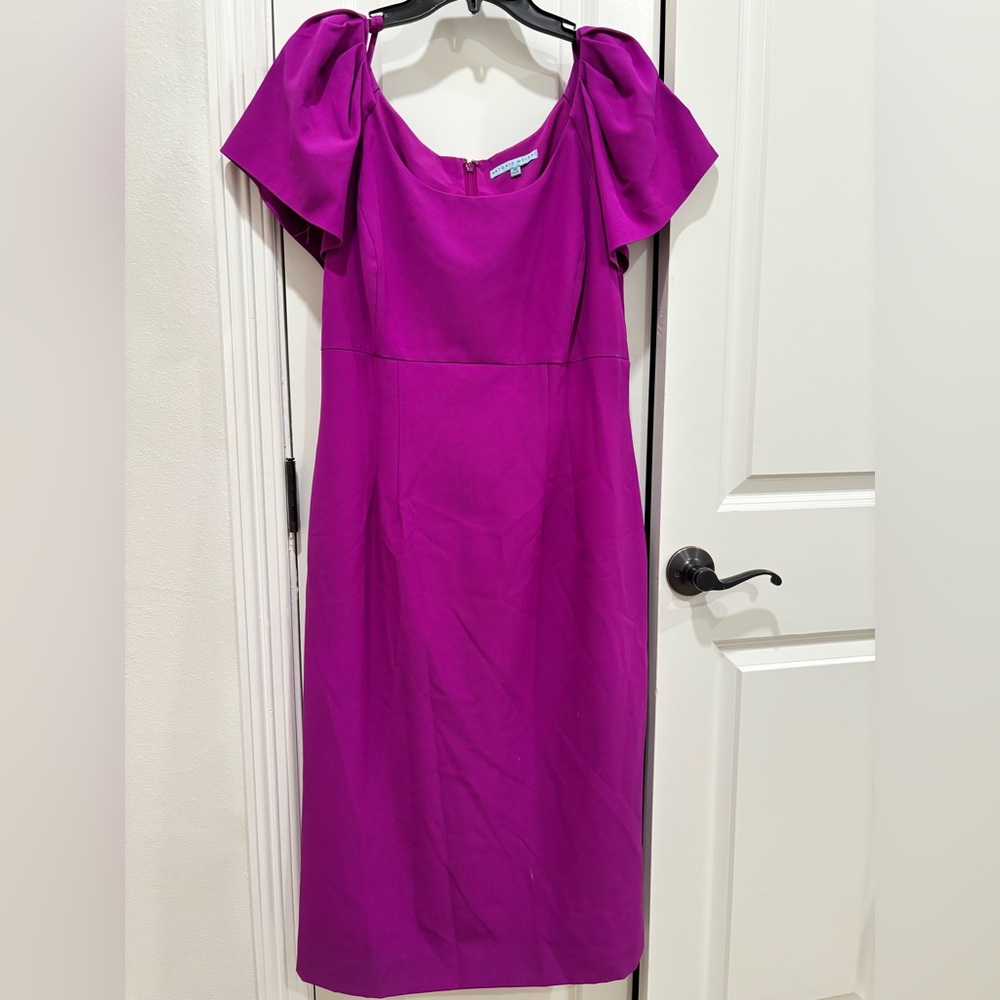 ANTONIO MELANI Vibrant Purple (fuchsia )Midi Dress